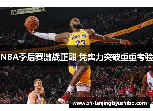 NBA季后赛激战正酣 凭实力突破重重考验