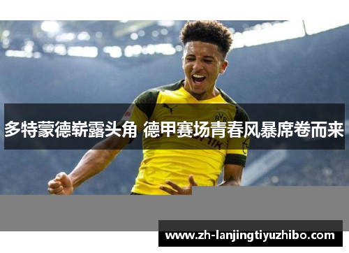 多特蒙德崭露头角 德甲赛场青春风暴席卷而来