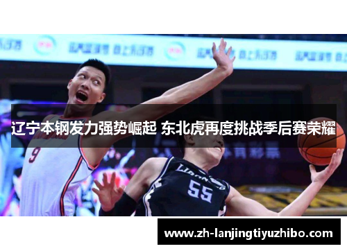 辽宁本钢发力强势崛起 东北虎再度挑战季后赛荣耀